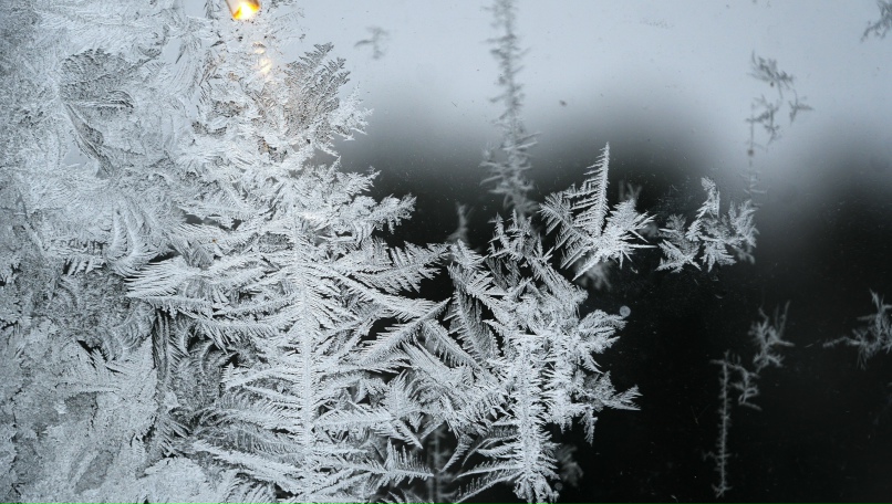 Наталья Овчинникова | Санкт-Петербург