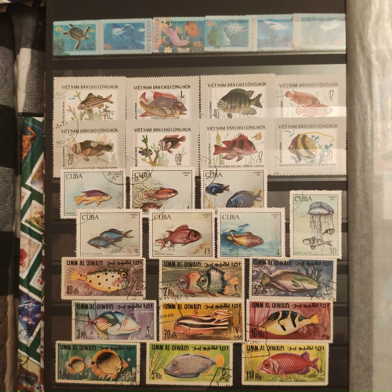 Юлия Меньшова | Санкт-Петербург