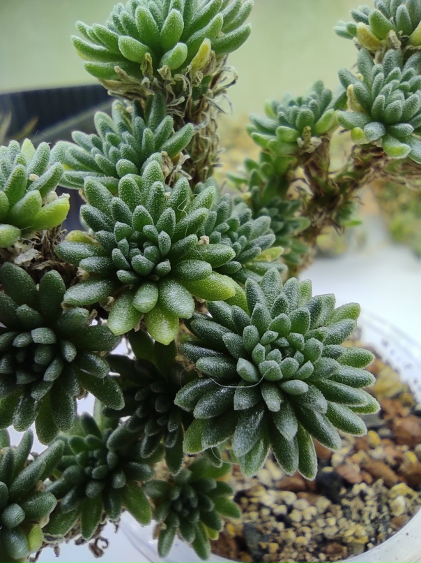 Ольга Колмакова | Москва