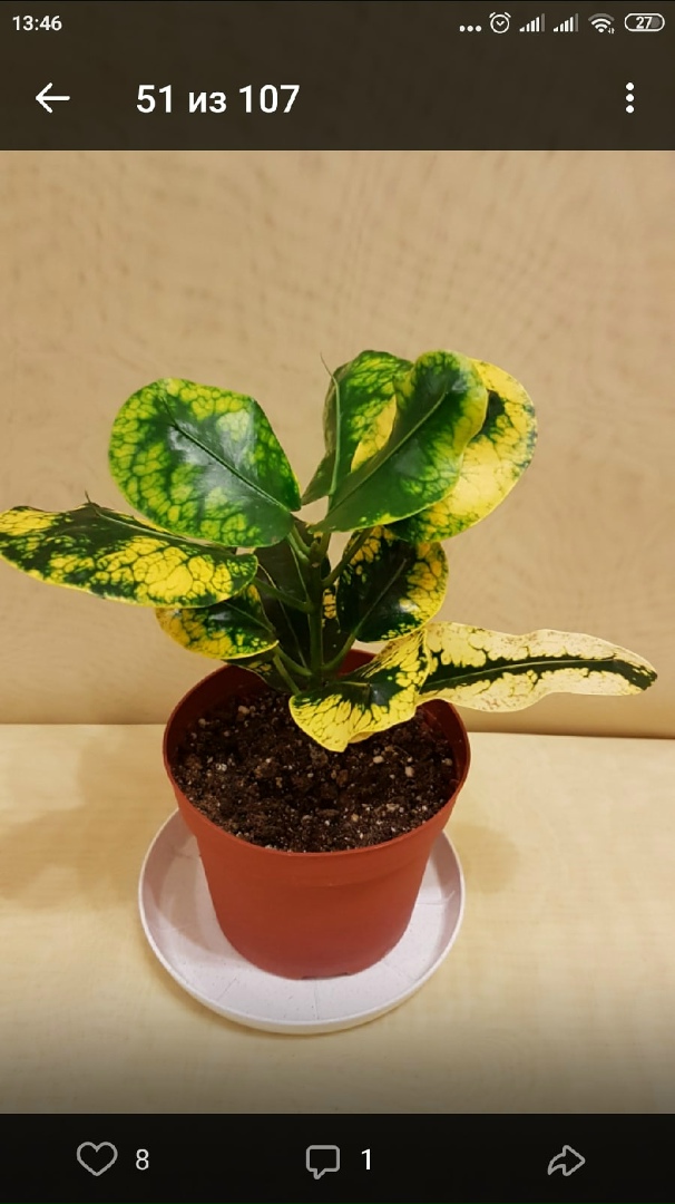 Маруся Климова | Nuuk