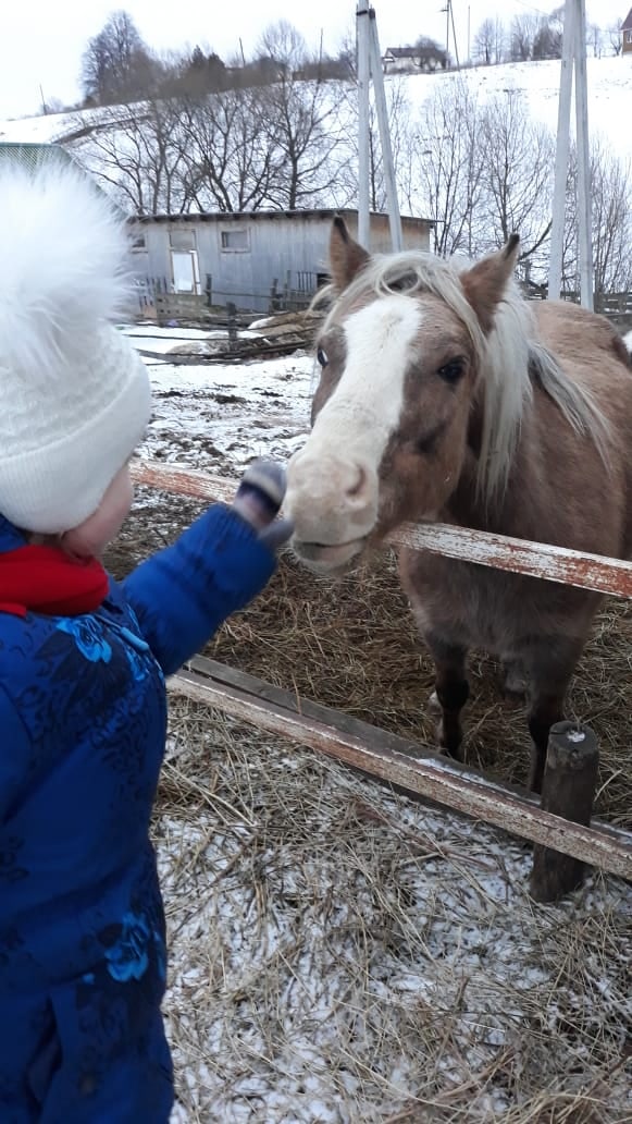 Александр Владимирович | Москва