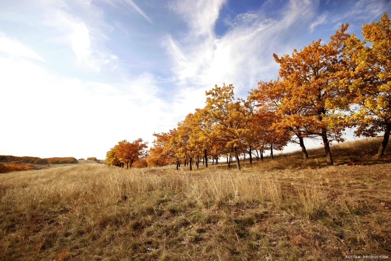 Рустам Шайдуллин | Хрустальный / Красный Луч