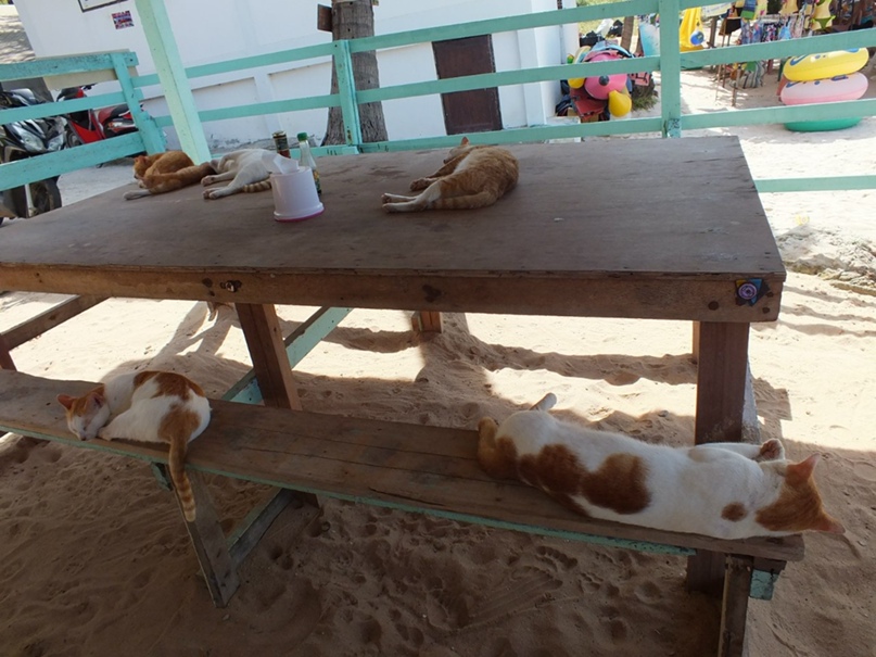 Ксения Ганина | Москва