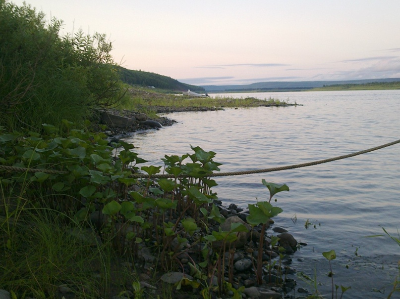 Мария Соловьева | Санкт-Петербург