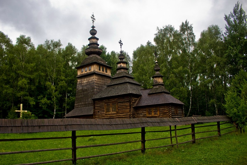 Александр Степаненко | Донецк