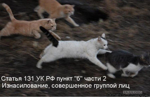 Мария Кириченко Martisha | Ростов-на-Дону