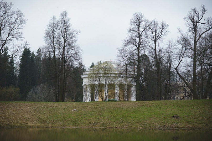 Маргарита Исаева | Ярославль