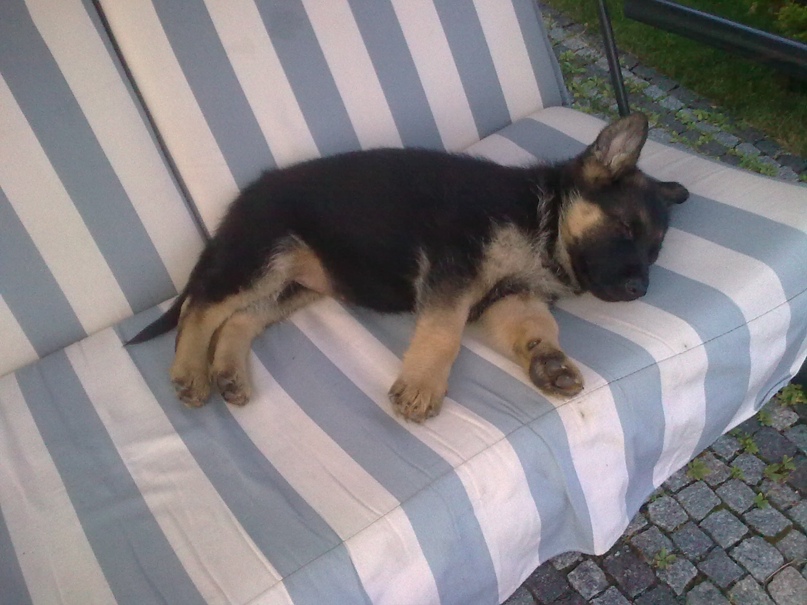 Алексей Малюта Сергеевич | Киев