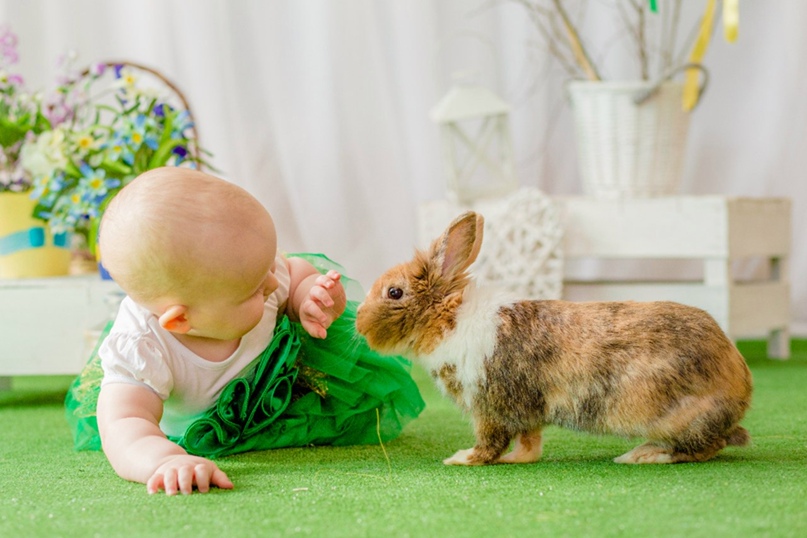 Анна Ярушина | Сосновый Бор