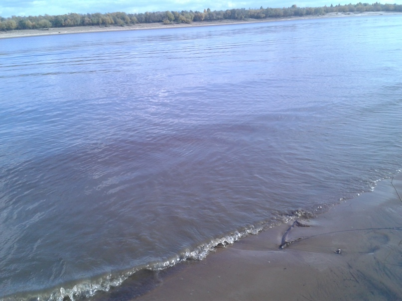 Ольга Камаева | Сыктывкар