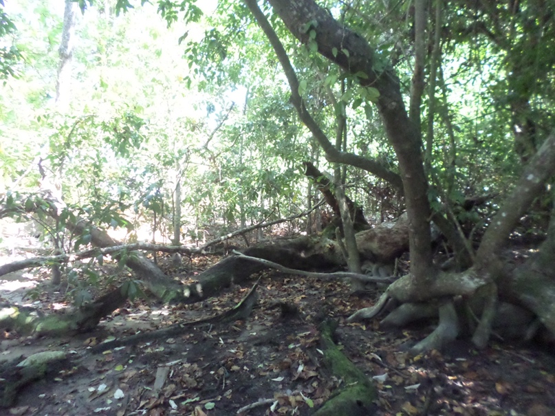 Михаил Красноруцкий | Phuket