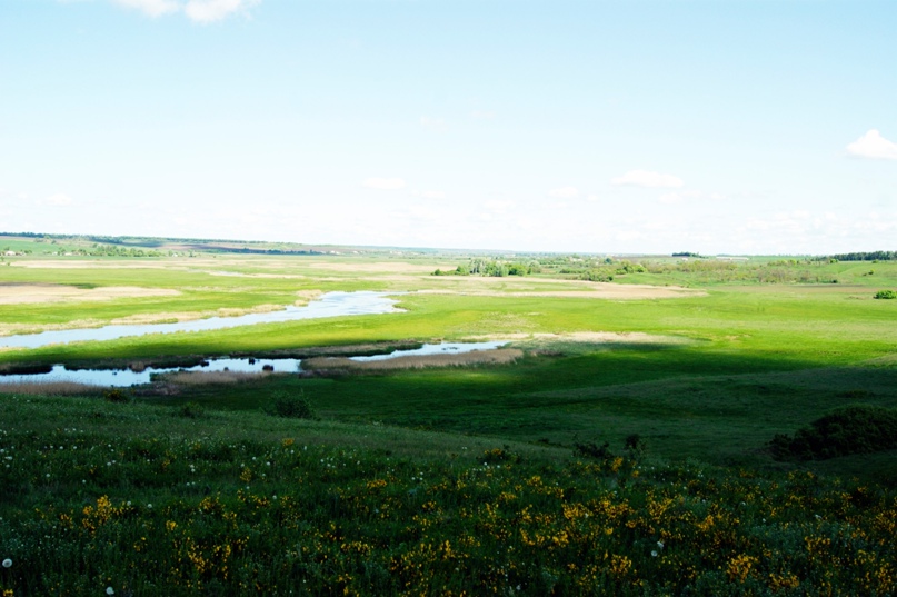 Владимир Ткаченко | Краматорск