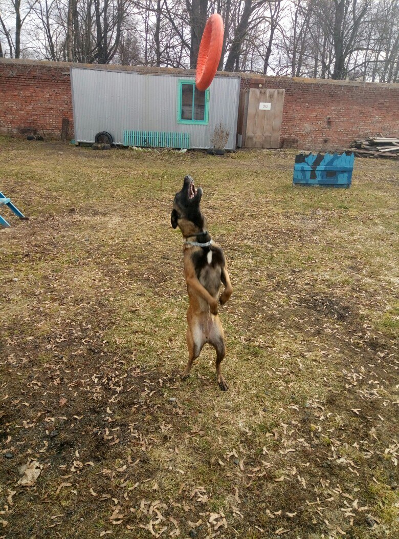 Инна Токарева | Остров