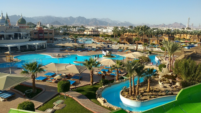 Марина Пшеничникова | Киев