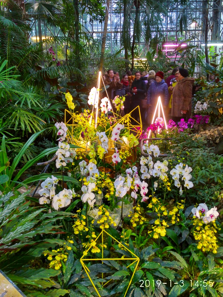 Яна Позднякова | Санкт-Петербург