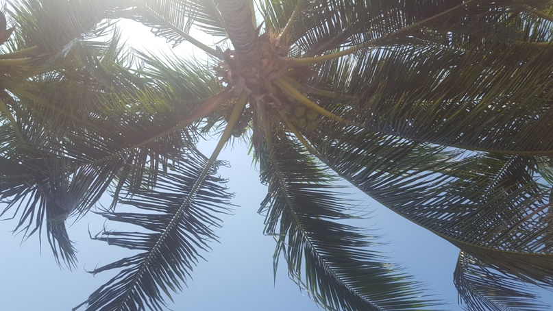 Юля Баранова | Ижевск