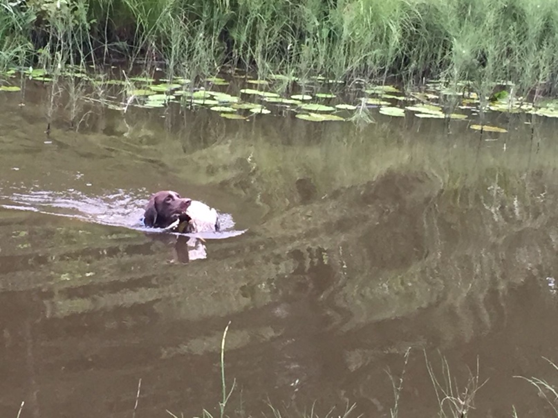Алексей Покидышев | Санкт-Петербург