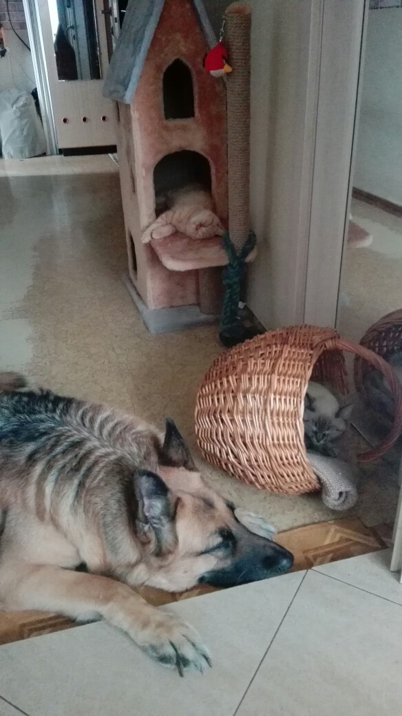 Натали Воронцова | Санкт-Петербург