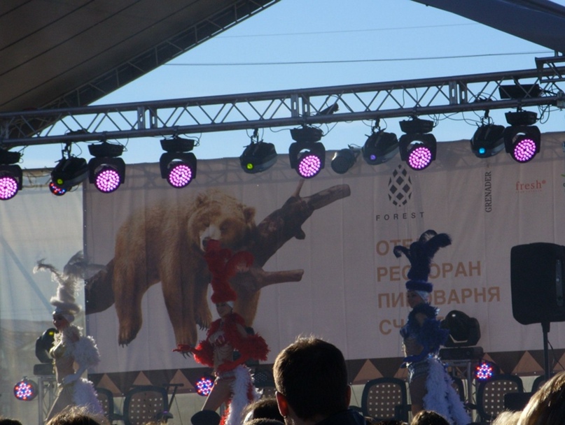 Татьяна Гладышева LISI4KA | Москва