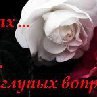 Диана Леонтьева | Ленск