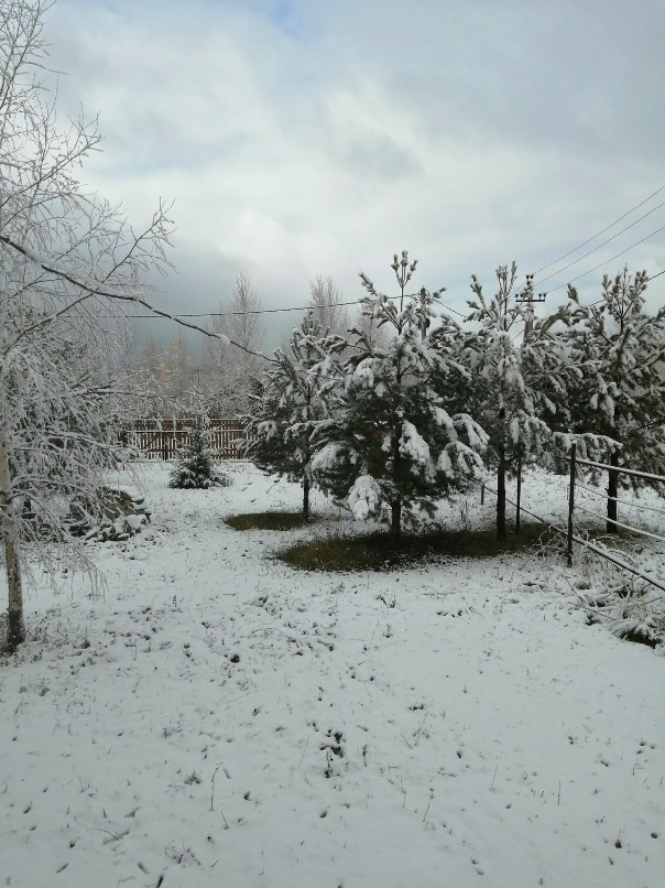 Алексей Пигалев | Пермь