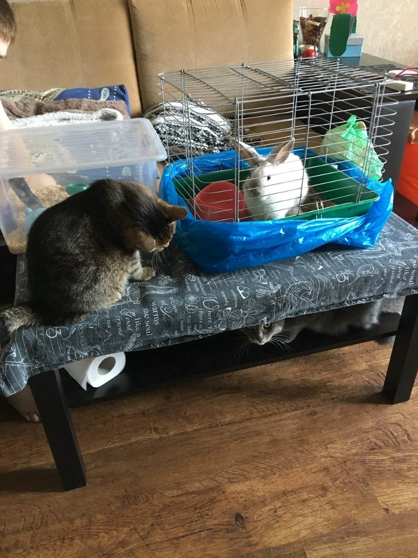 Александр Кончаков | Сызрань