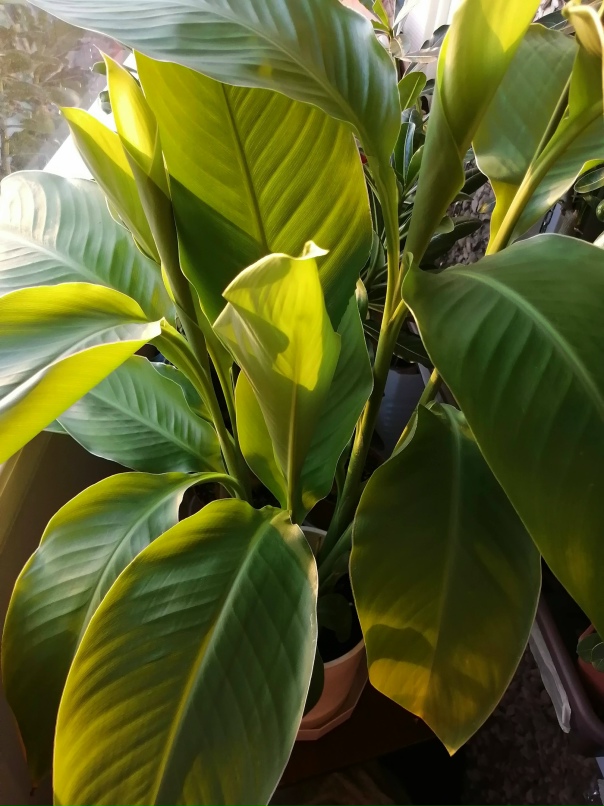 Елена Березина | Тюмень