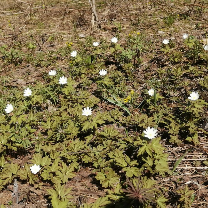 Дарья Герасимова | Уфа