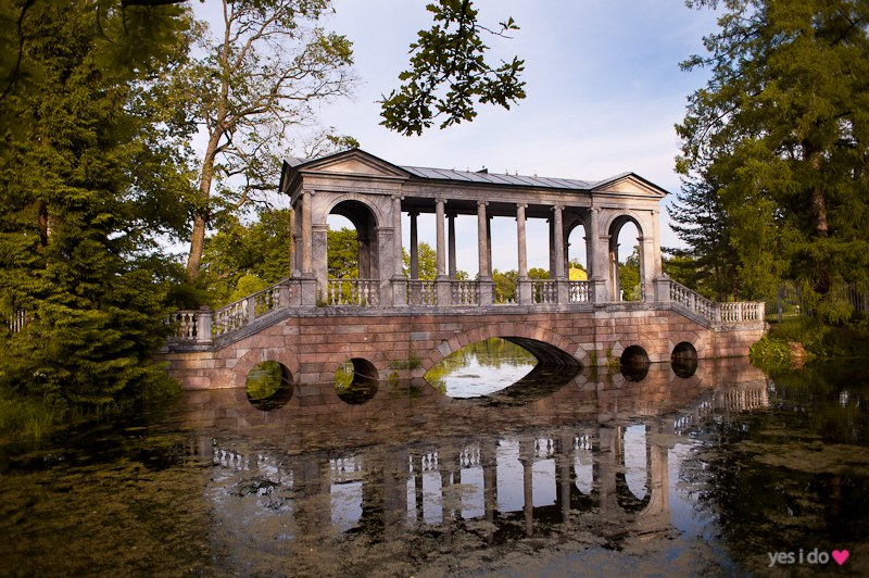 Андрей Черниговский | Киев