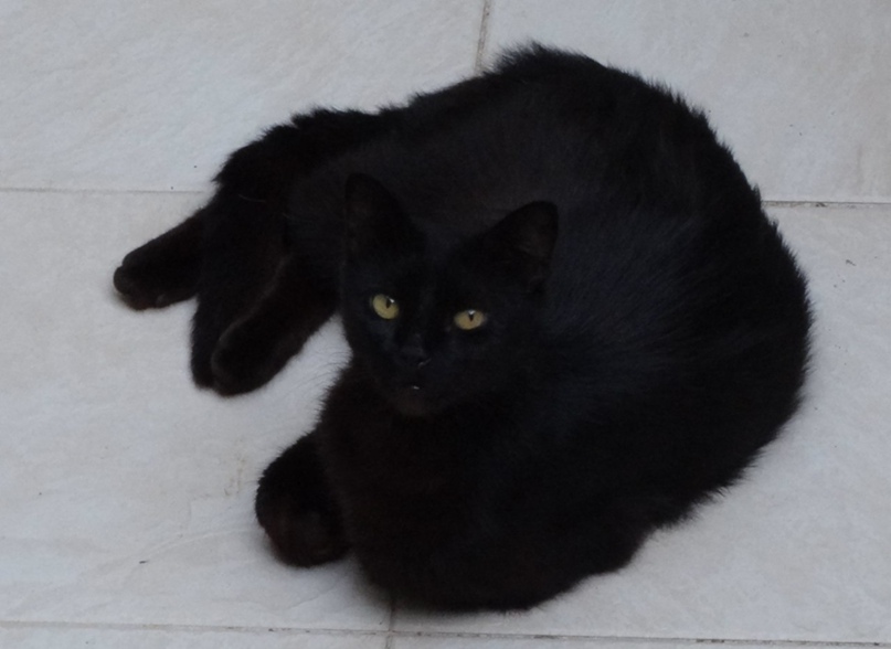 Жанна Орлова | Нефтеюганск