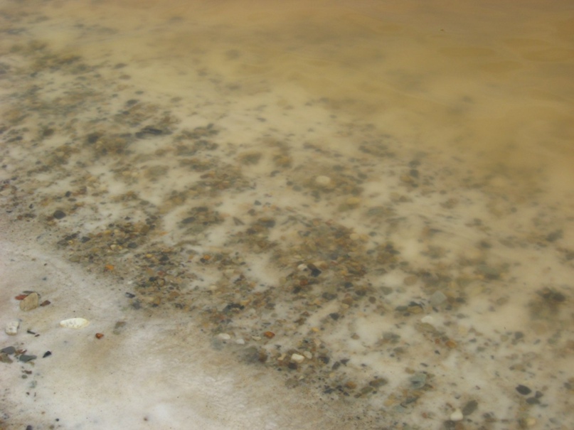 Анастасия Каминская | Рязань