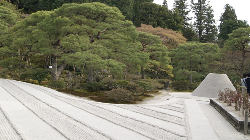 Татьяна Зубарева | Владивосток