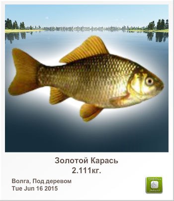 Андрей Новожилов | Санкт-Петербург