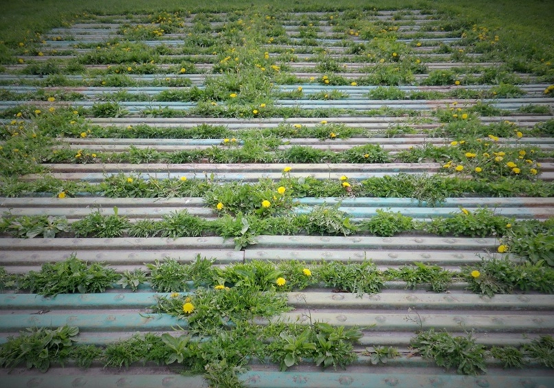 Виктория Гуляева | Санкт-Петербург