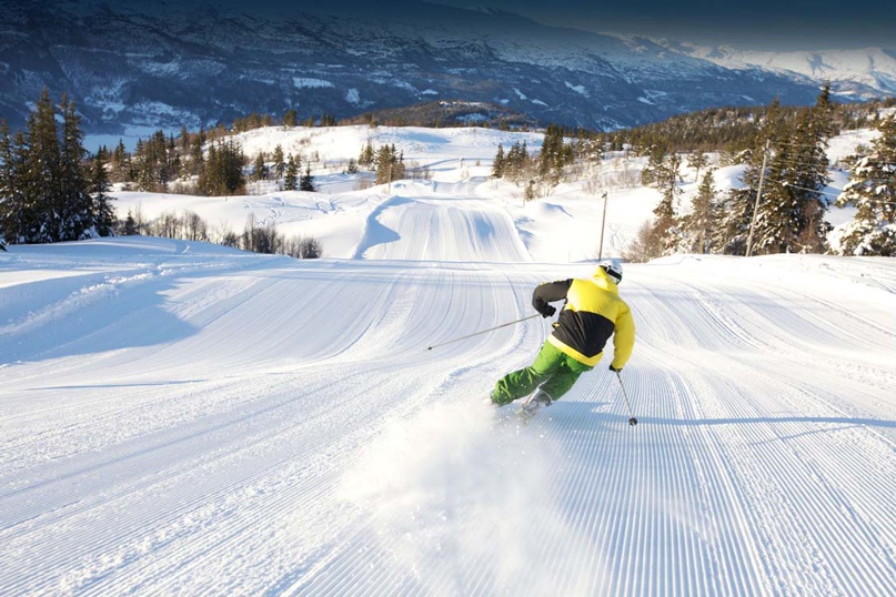 Артем Тишков Владимирович | Красноярск