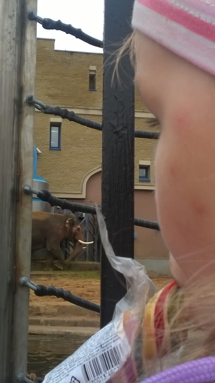 Екатерина Шмелева | Дубна