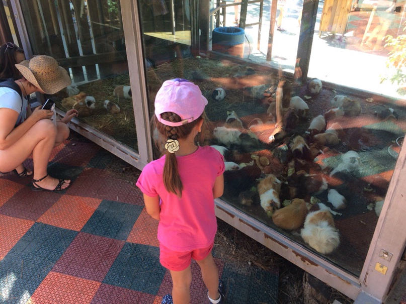 Дмитрий Халявин | Киров