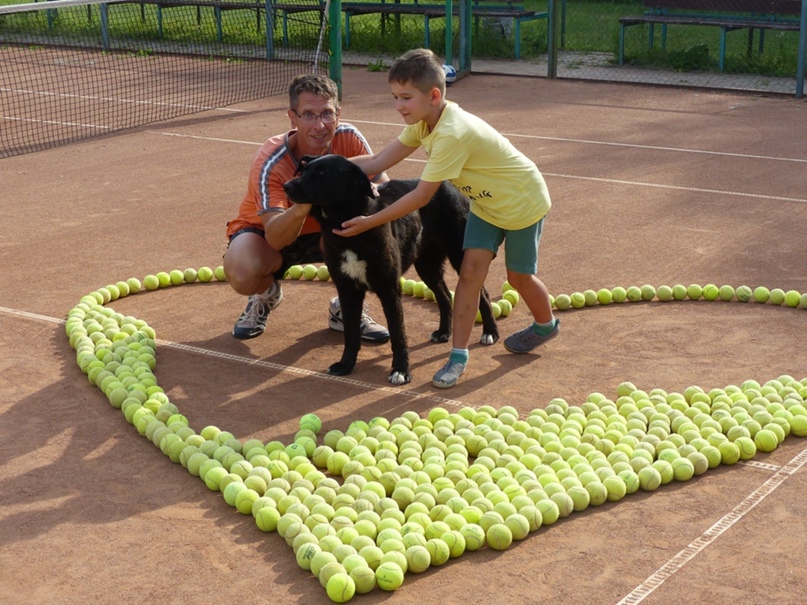 Дмитрий Метелица | Великий Новгород