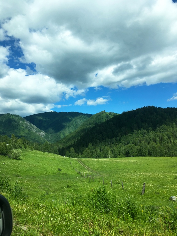 Денис Бондаренко Chip | Новосибирск