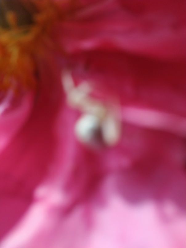 Ирина Ларионова | Санкт-Петербург