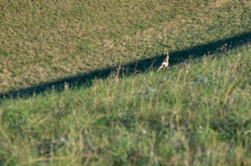 Александр Кирилюк | Екатеринбург