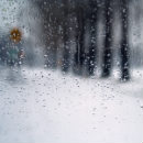 Димитрий Ходжаев | 