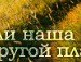 Александра Долгая | Челябинск