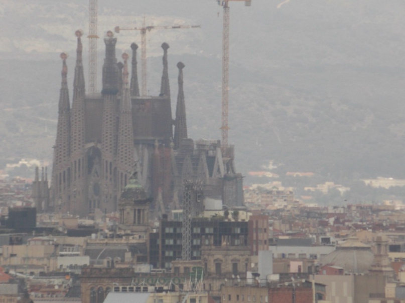 Павел Елизаров | Санкт-Петербург