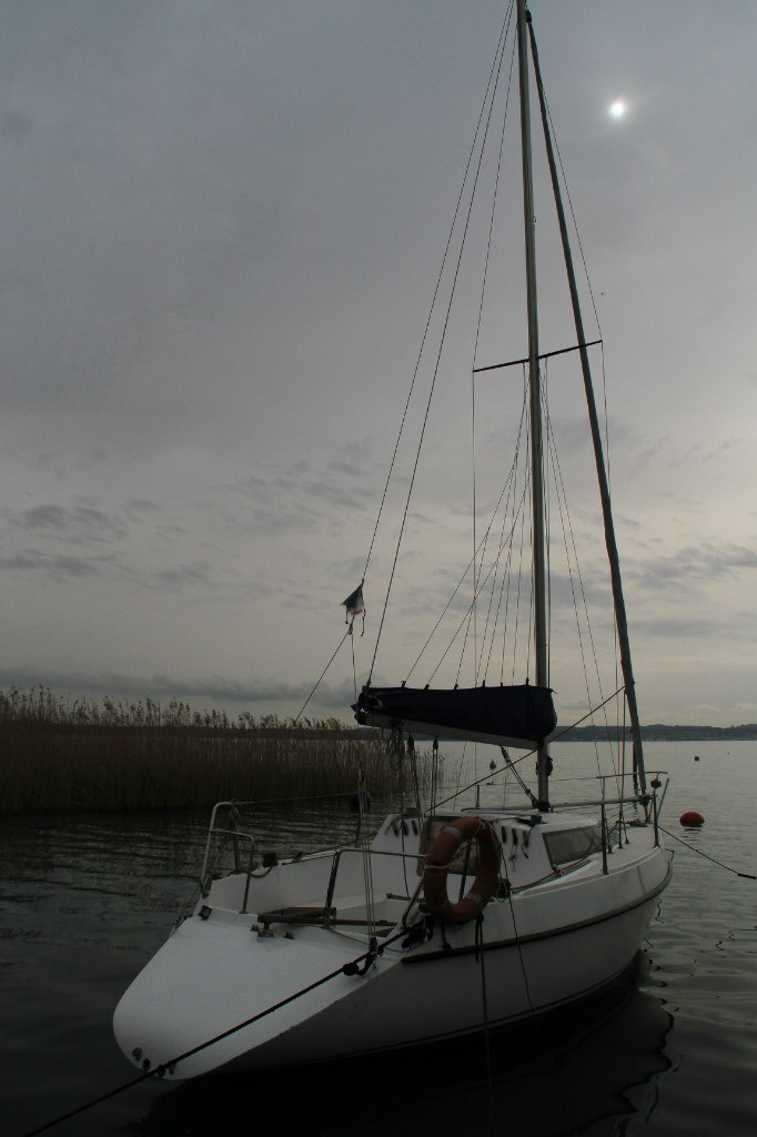 Ольга Китаева | Санкт-Петербург