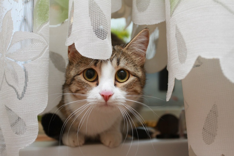 Яна Николаева | Краснодар