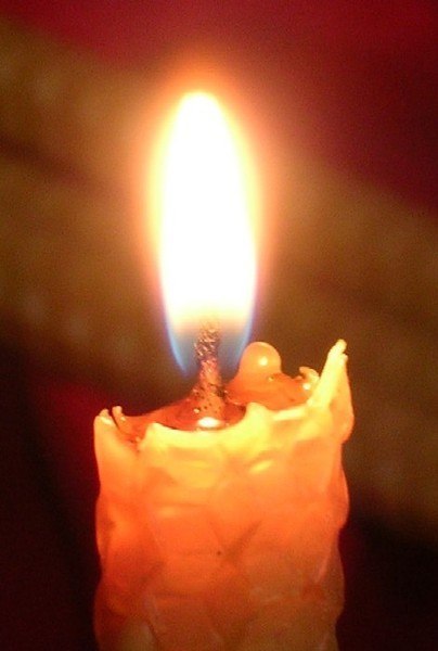 Ирина Любимова | Севастополь