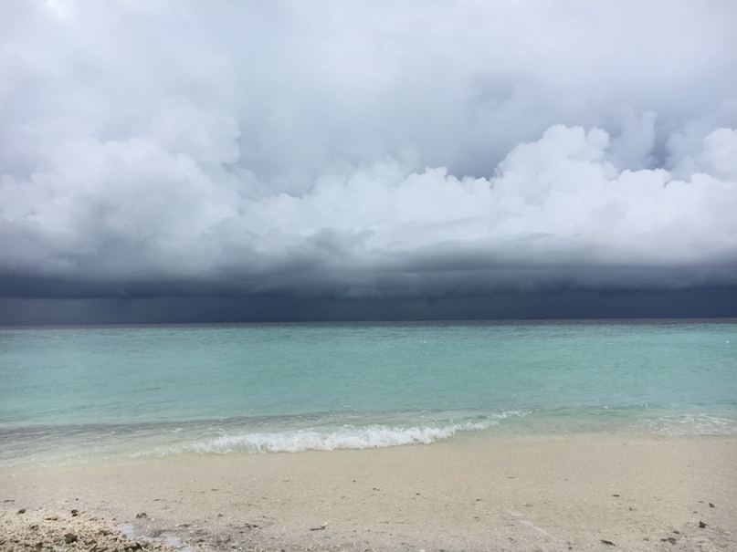 Андрей Сучков | Москва