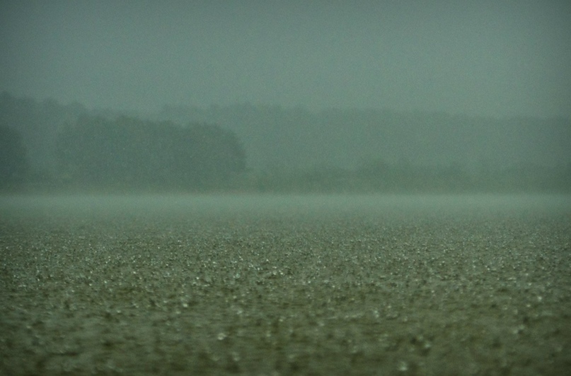 Кирилл Петров |