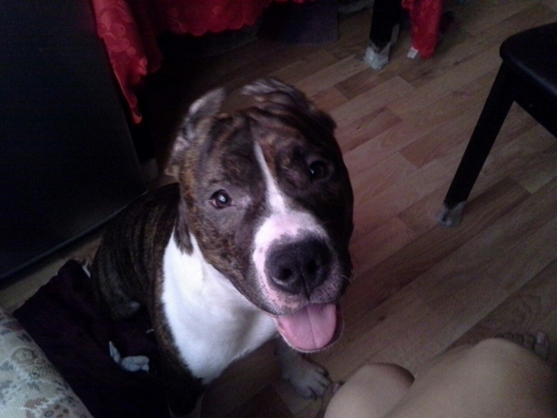 Екатерина Красноперова | Челябинск